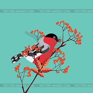 Bullfinch on rowan - vector clip art