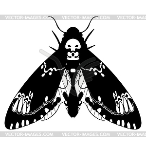Acherontia atropos butterfly black and white - vector image