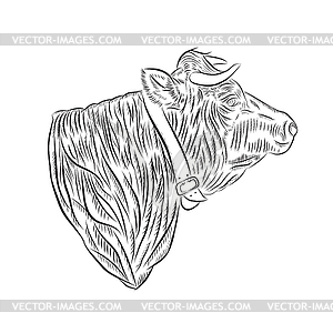 Cow head sketch - vector image