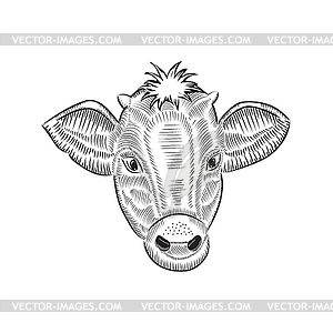 Cow head sketch - vector image