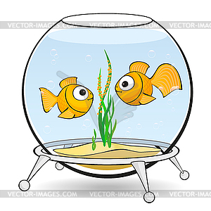 Couple goldfish in an aquarium - vector clipart