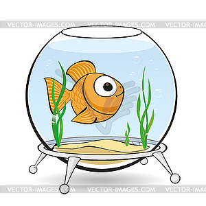 Gold fish in aquarium - vector image