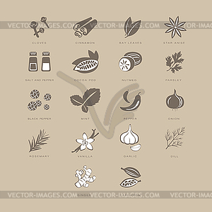 Spices Set, - vector image