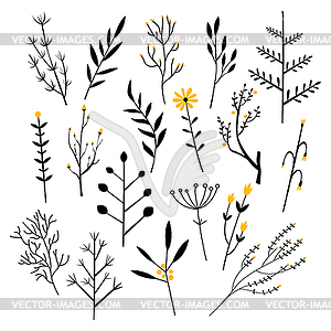 Plants, Flowers and Branches. Set - vector clipart