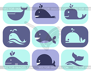 Collection of Whale Icons - vector image
