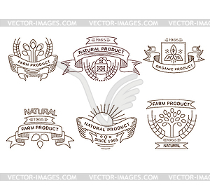 Retro farm fresh labels, badges and design elements - vector image