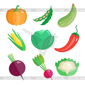 Set of Fresh Vegetables - royalty-free vector clipart