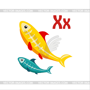 X-Ray Tetra. Funny Alphabet, Animal - vector clip art