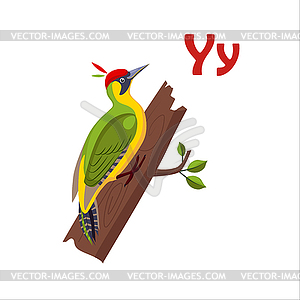 Yellow Wagtail. Funny Alphabet, Animal - vector clipart