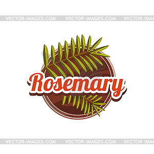 Rosemary Spice.  - vector clip art
