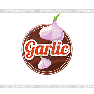 Garlic Spice.  - vector clipart