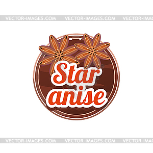 Star Anise Spice.  - vector clipart