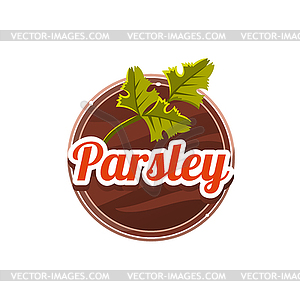 Parsley Spice.  - vector EPS clipart