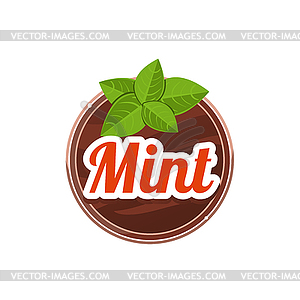 Mint Spice.  - vector image