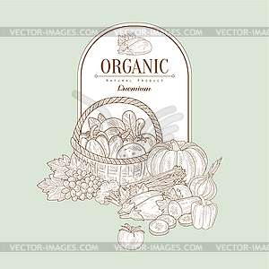 Organic, Banner - vector image