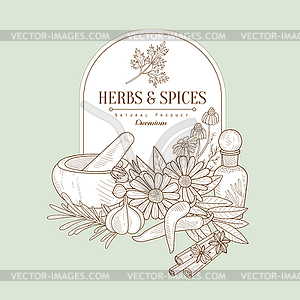 Herbs and Spices, Banner - royalty-free vector image