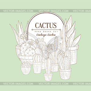 Vintage Sketch With Cactus - vector clipart / vector image