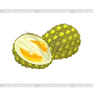 Durian Flat Sticker - vector clipart