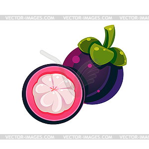 Mangosteen Flat Sticker - vector image