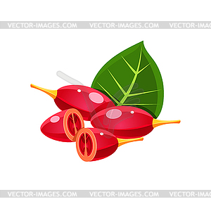 Goji Berry Flat Sticker - royalty-free vector image