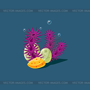 Coral And Polyp - vector image