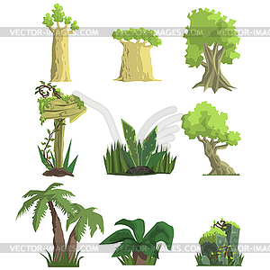 Tropical Forest Landscape Elements - vector clip art