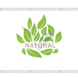 Random Placed Leaves Surrounding Text Organic - vector clipart