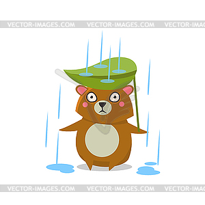 Brown Bear Under Rain - vector clipart