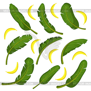 Тропические листья с бананами - клипарт в формате EPS