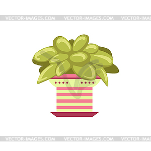 Succulent Plant In Pink Pot - vector clip art