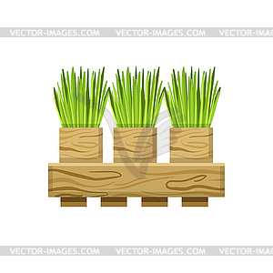 Green Onions In Crate - vector clipart / vector image