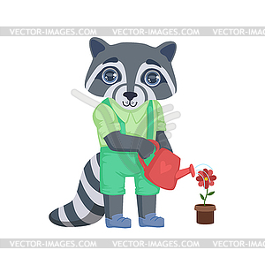 Boy Raccoon Watering Flower - vector image