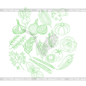 Set Of Vegetables Artistic Sketch - vector image