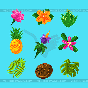 Тропические растения и фрукты Набор - векторный клипарт
