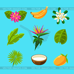 Tropical Plants And Fruits Collection - vector image