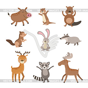 Лесных животных Коллекция - изображение в векторном формате