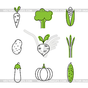 Healthy food card vegetables vegetarians - vector image