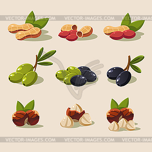 Olives and Nuts Modern Design - vector clip art