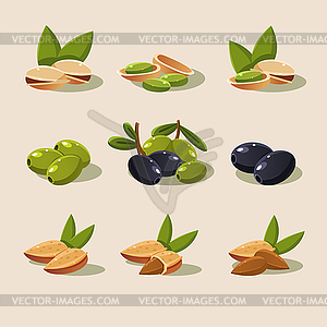 Olives and Nuts Modern Design - royalty-free vector clipart