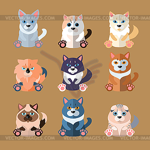 Breeds of Cats Icons.  - vector clipart / vector image