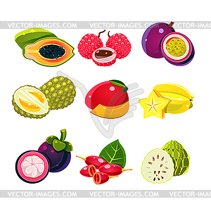 Colourful Exotic Tropical Fruits Set - vector image