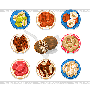 Nut Icon Set - vector image