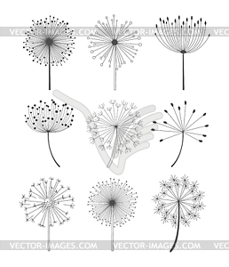 Black and White Dandelions Set - vector image