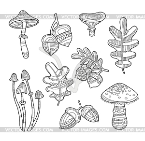 Black and White Acorns, Leaves, Berries, Handdrawn - vector clip art