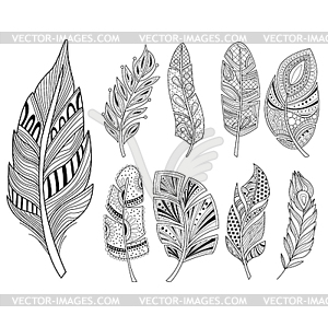 Ornamental Feathers in Handdrawn Style. Vestor Set - vector image