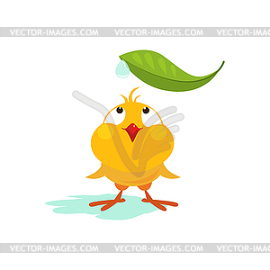 Small Chicken Looking at Leaf - vector clipart / vector image