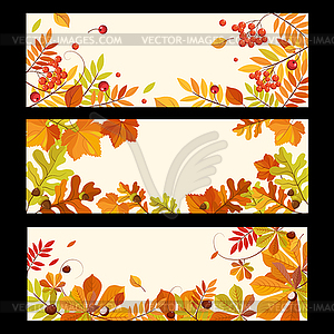 Autumn Banners with Berries and Leaves, - vector clipart