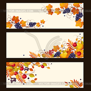 Autumn Banners with Ripe Berries and Leaves, - vector clip art