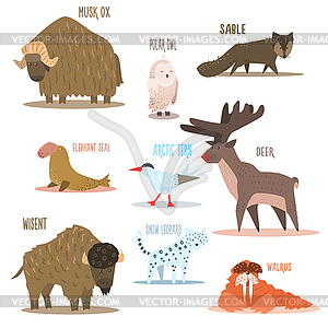 Arctic and Antarctic Animals, Birds - vector image