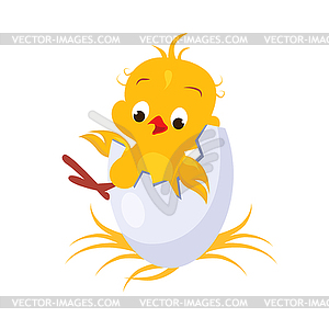 Cartoon Chicken in an Egg - color vector clipart